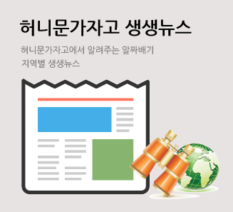 허니문가자고 생생뉴스